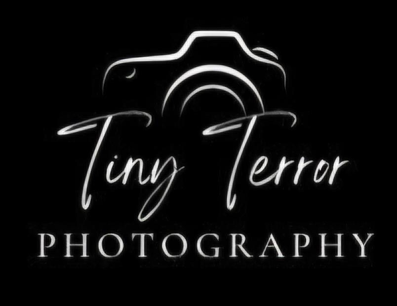 Tinyterrorlogo